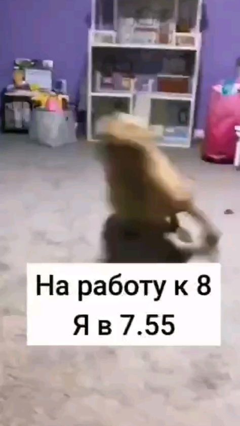 картинки с юмором285 картинки с юмором285