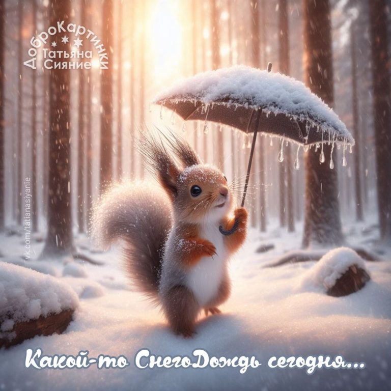 Белочка зимой под дождём. Белочка зимой под дождём.