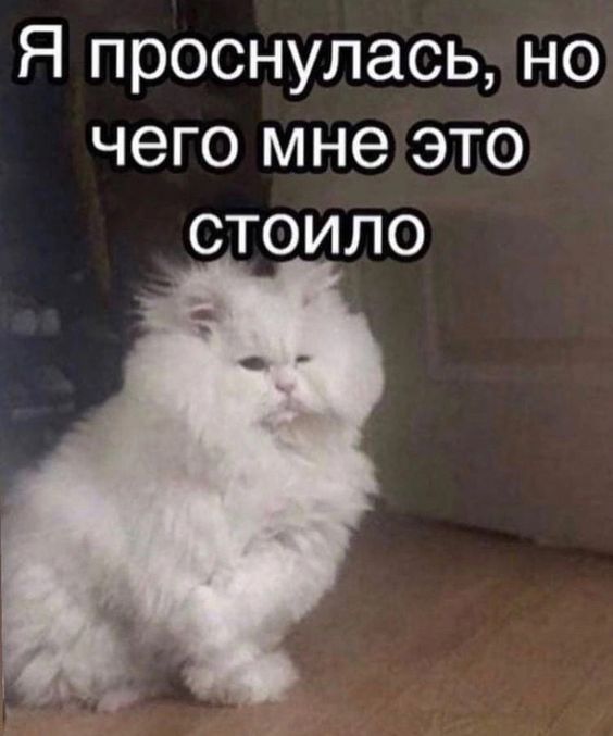 Прикольные фразы1400 Прикольные фразы1400