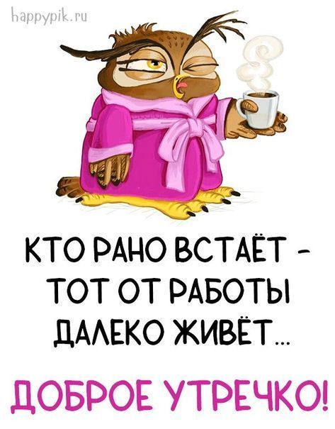 смешные открытки998