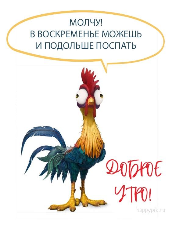 Картинки С добрым утром воскресенья – скачать Картинки С добрым утром воскресенья – скачать
