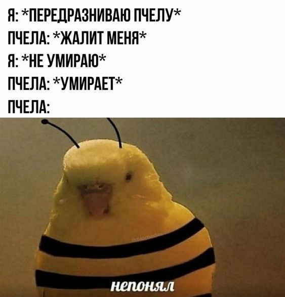 юмор очень смешно 26 юмор очень смешно 26