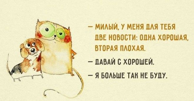 Милые картинки про мужчин и женщин Милые картинки про мужчин и женщин
