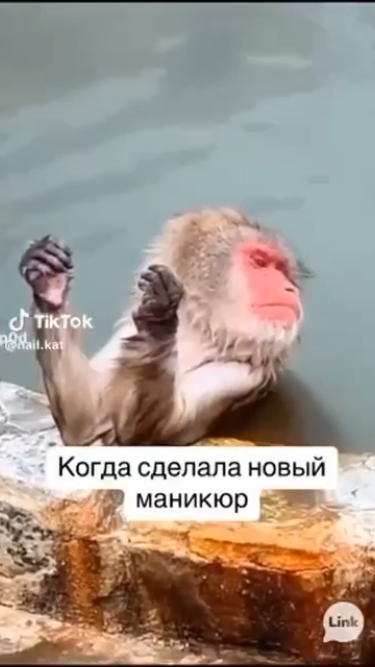 Красота прежде всего Красота прежде всего