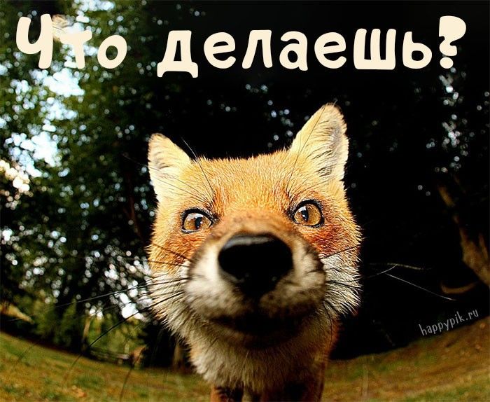 Картинки с надписью Что делаешь – скачать Картинки с надписью Что делаешь – скачать