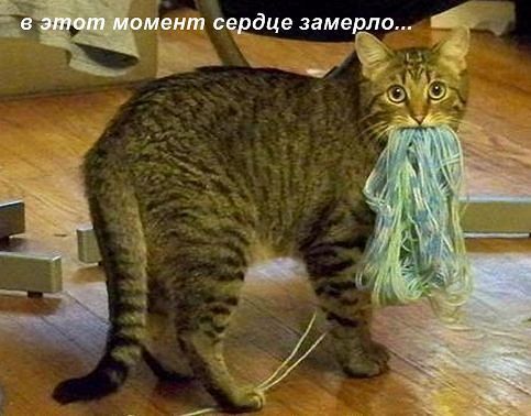 Снова с юмором Снова с юмором