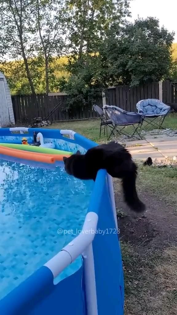Больше интересных видео у нас…Заходи 😏 Больше интересных видео у нас…Заходи 😏