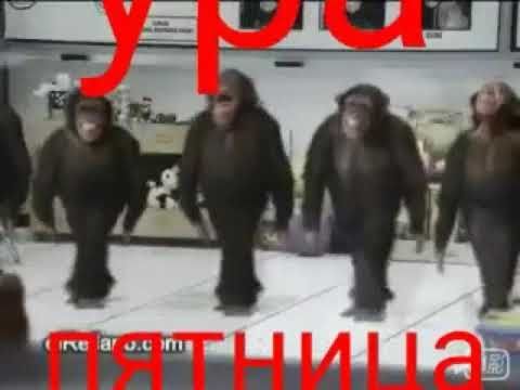 юмор очень смешно 227 юмор очень смешно 227