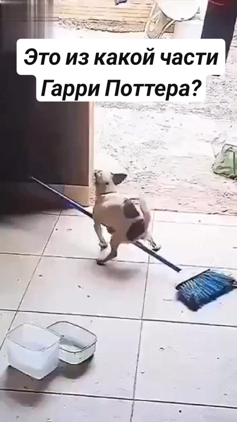 Это из какой части Гарри Поттера? Это из какой части Гарри Поттера?
