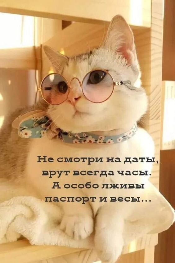 юмор очень смешно 172 юмор очень смешно 172