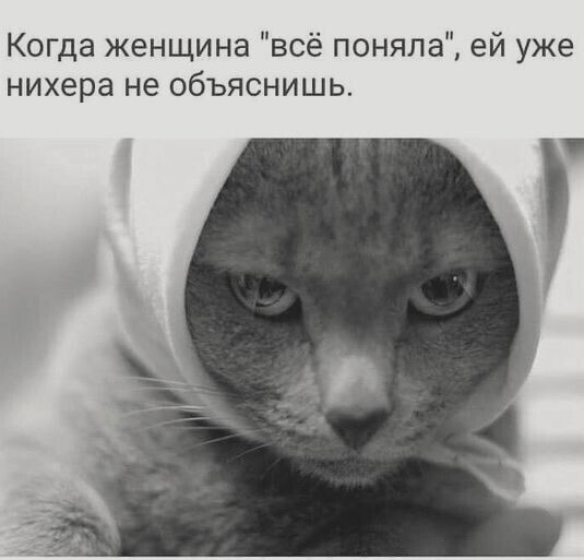 смешные открытки1002 смешные открытки1002