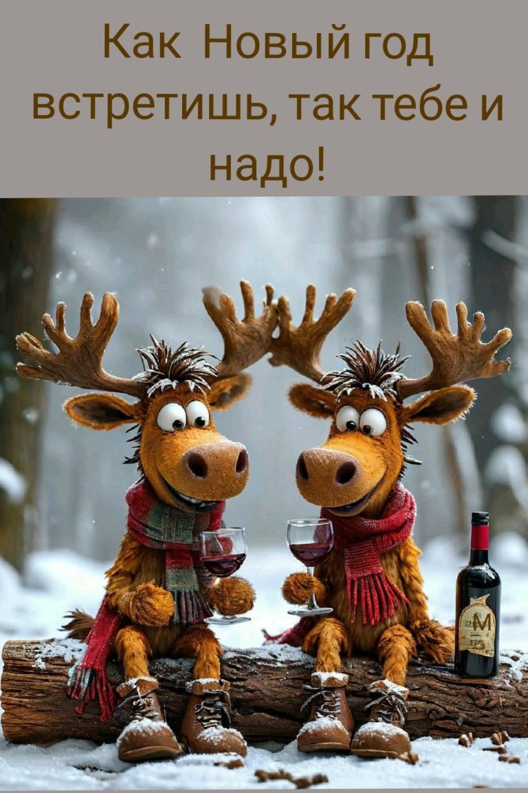 Как  Новый год встретишь, так тебе и надо! М