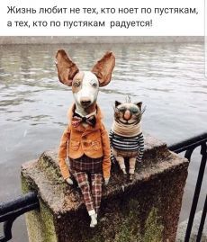Душевный порыв Душевный порыв
