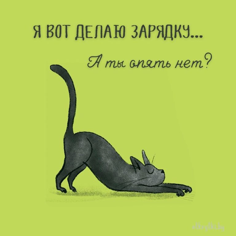 Картинки про СПОРТ, ЗАРЯДКУ и ФИЗКУЛЬТУРУ с юмором Картинки про СПОРТ, ЗАРЯДКУ и ФИЗКУЛЬТУРУ с юмором