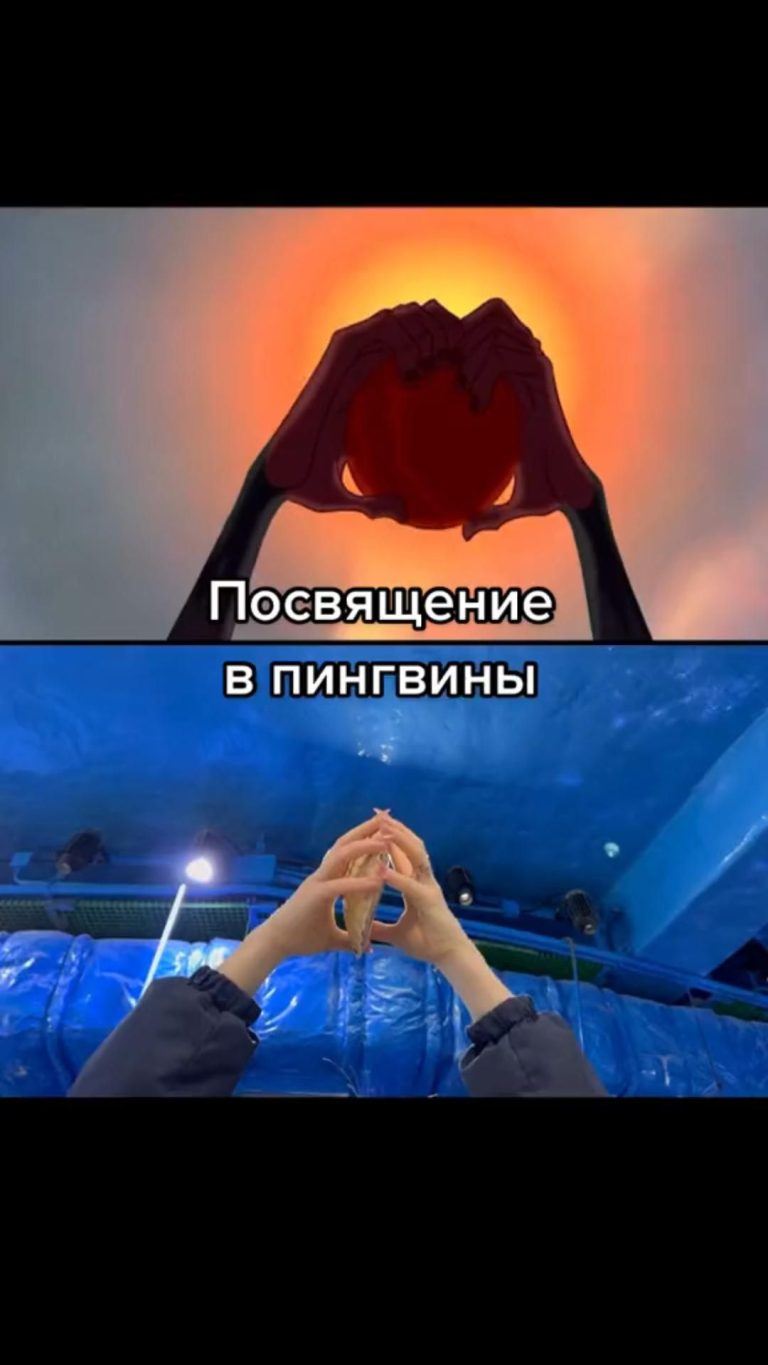 Посвящение в пингвины Посвящение в пингвины