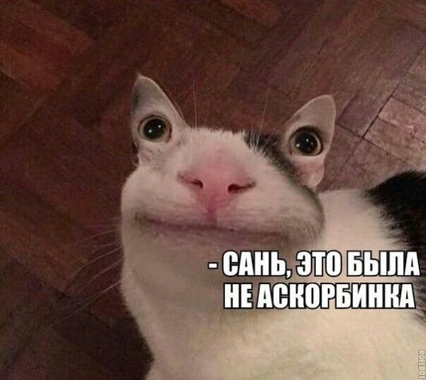 Приколюхи из скотсетей. Ч.2 – ЯПлакалъ Приколюхи из скотсетей. Ч.2 – ЯПлакалъ