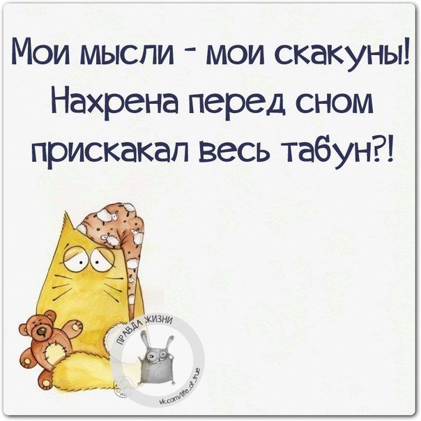 открытки с добрым утром – 13546 открытки с добрым утром – 13546