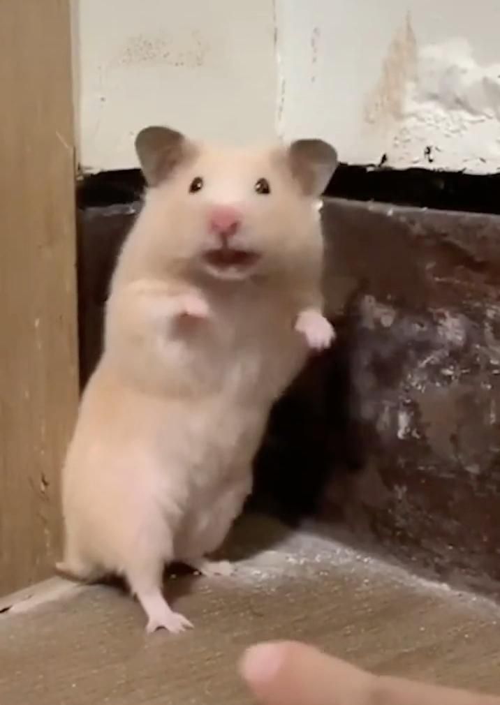 Scared the hell out of me. Scared the hell out of me.