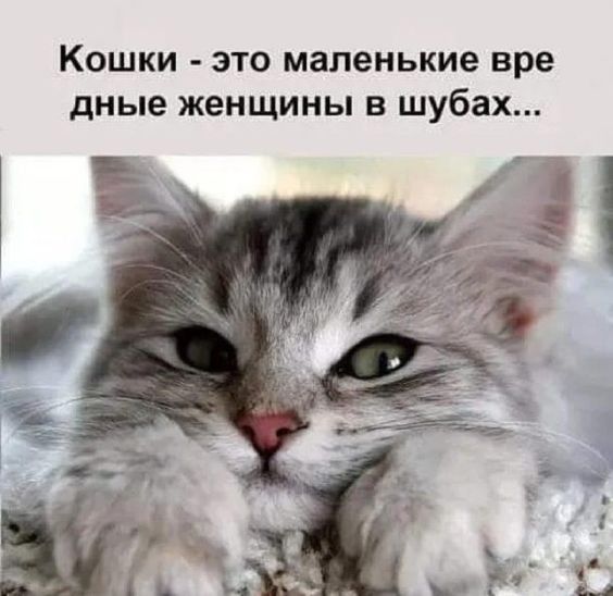 МИР ЖЕНЩИНЫ-МОДА,СТИЛЬ,КРАСОТА,РУКОДЕЛИЕ,ЮМОР МИР ЖЕНЩИНЫ-МОДА,СТИЛЬ,КРАСОТА,РУКОДЕЛИЕ,ЮМОР