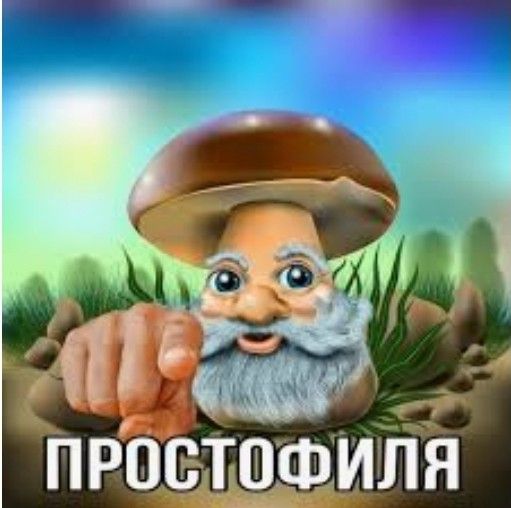 простофиля простофиля