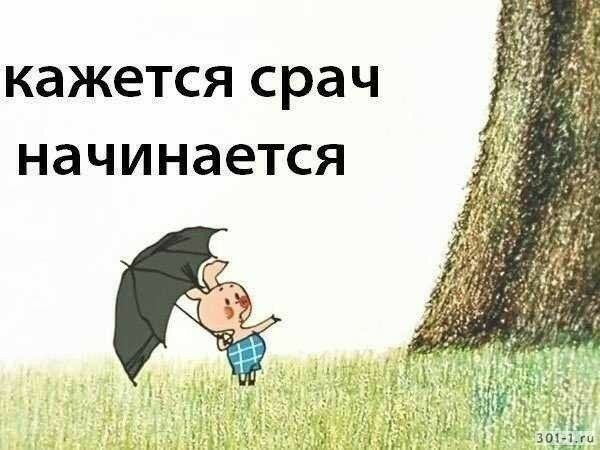 Смех до слёз: Узнайте, как шутки и мемы могут изменить вашу жизнь! Смех до слёз: Узнайте, как шутки и мемы могут изменить вашу жизнь!