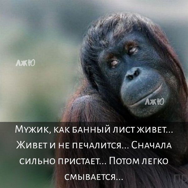 Вдохновение для мамочек!. Пост со стены. Вдохновение для мамочек!. Пост со стены.