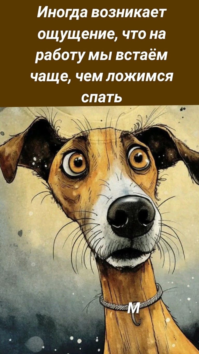 Иногда возникает ощущение, что на работу мы встаём чаще, чем ложимся спать М