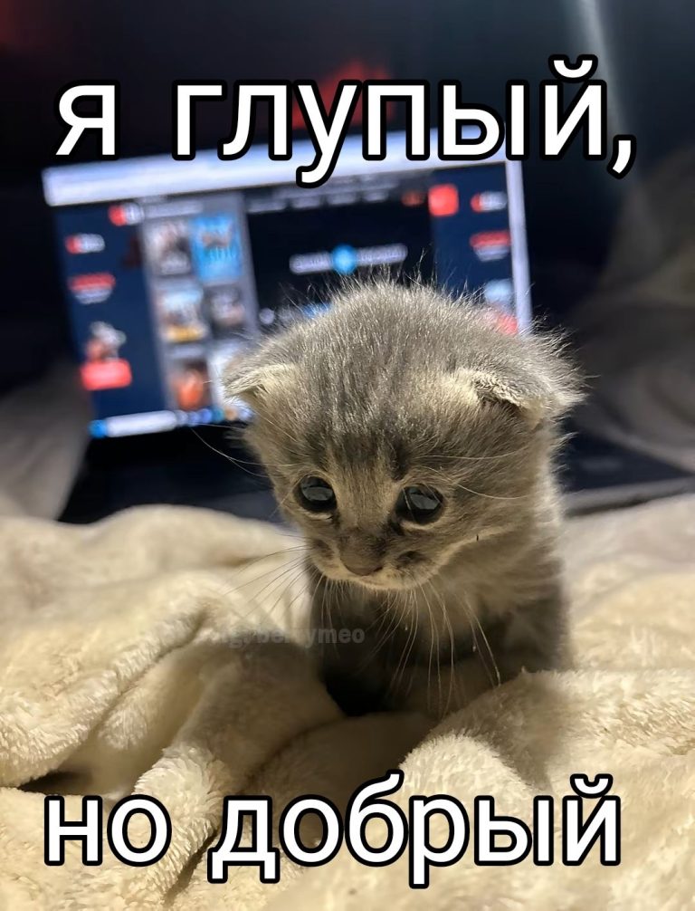 тгк berrymeo тгк berrymeo