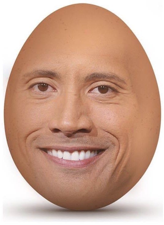 17 Super-Weird Egg Memes That’ll Crack You Up 17 Super-Weird Egg Memes That’ll Crack You Up