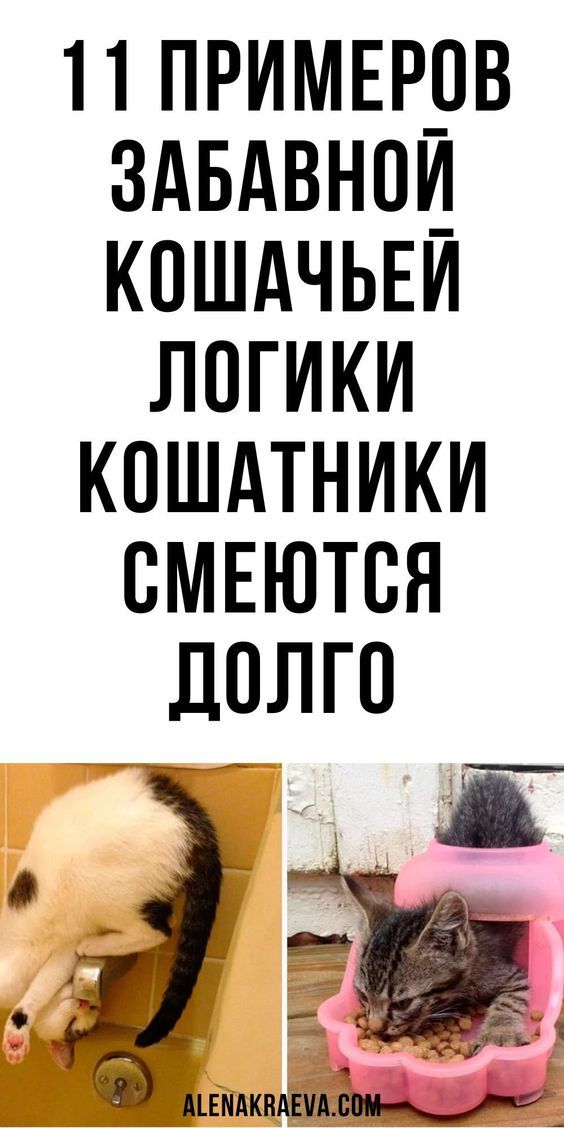 женский юмор 1243 женский юмор 1243