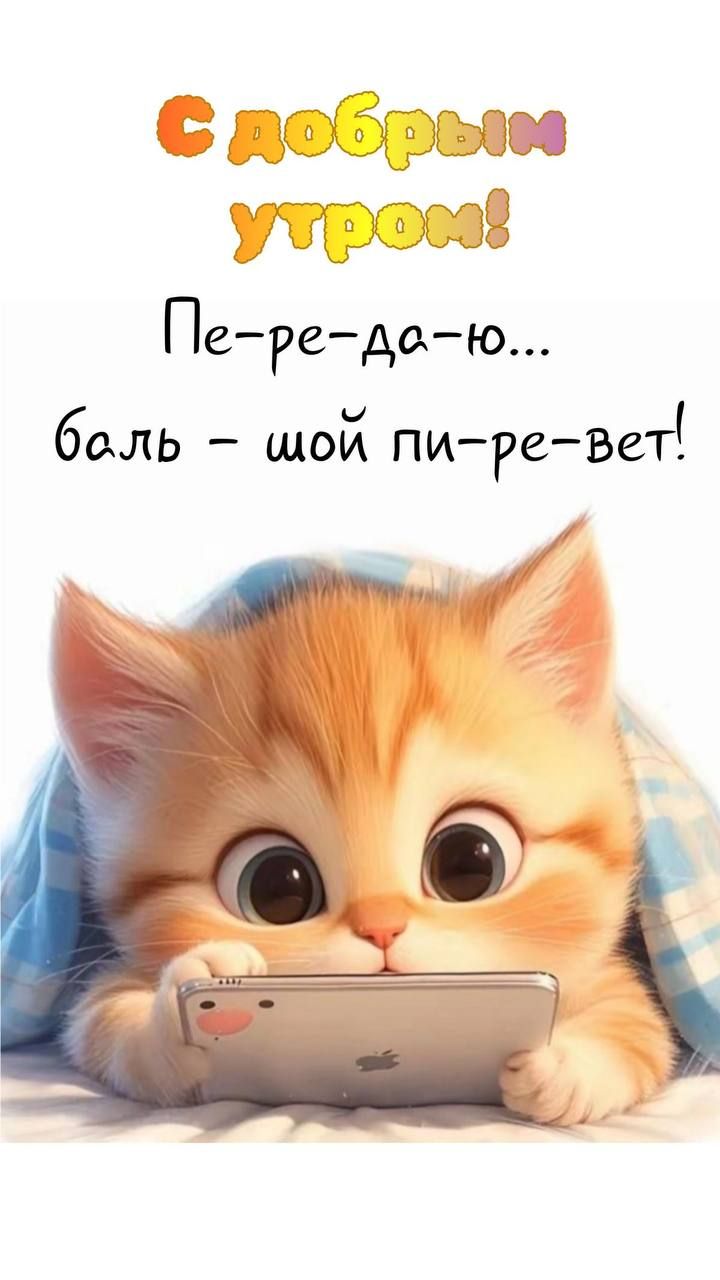 с добрым утром 🌞🌞🌞🌞 с добрым утром 🌞🌞🌞🌞