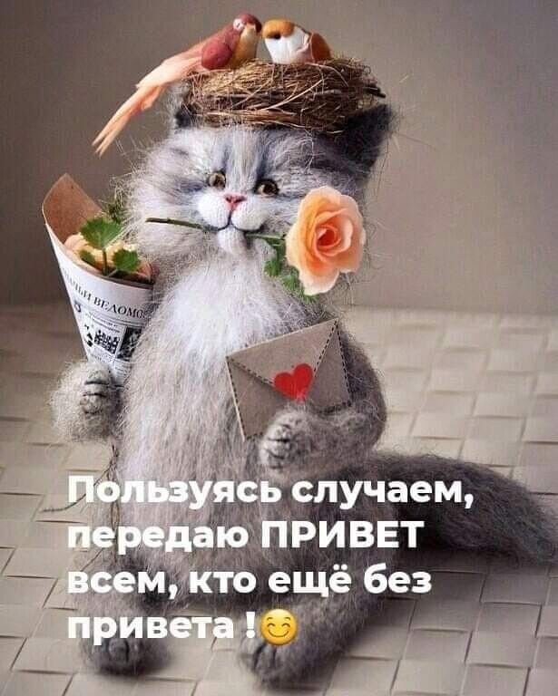 Красивые открытки — Фото | OK.RU Красивые открытки — Фото | OK.RU