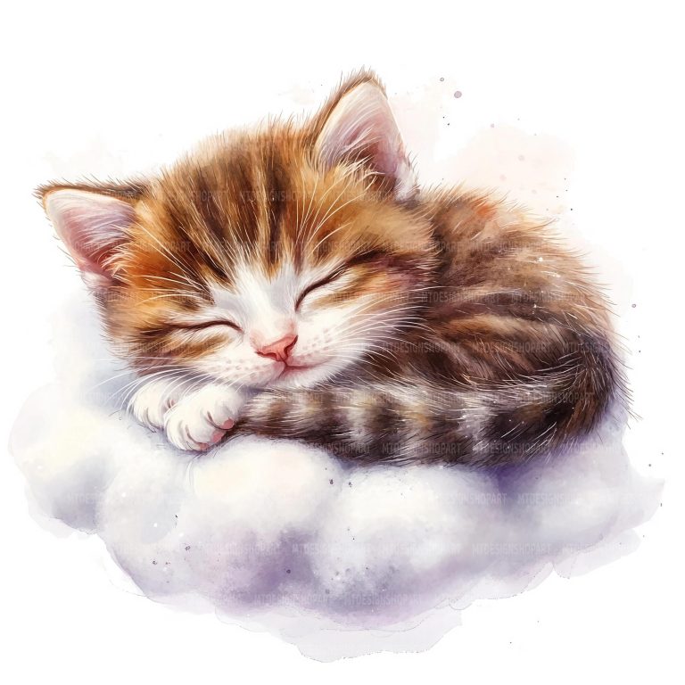 16 bébé chaton dort dans les nuages Clipart, clipart bébé chat, clipart aquarelle imprimable, créations en papier, JPG de haute qualité, téléchargement numérique 16 bébé chaton dort dans les nuages Clipart, clipart bébé chat, clipart aquarelle imprimable, créations en papier, JPG de haute qualité, téléchargement numérique