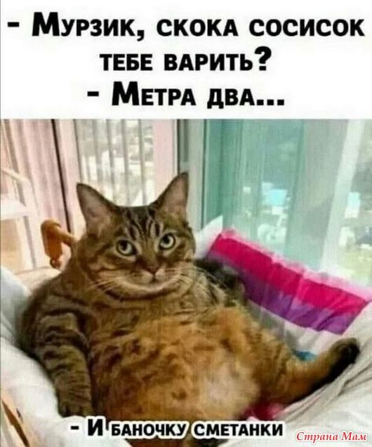 Котоюмор – 27 Котоюмор – 27