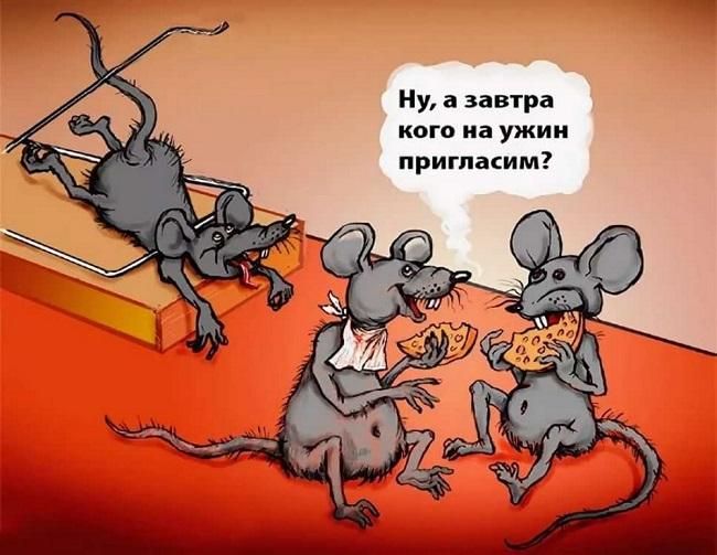 Свежие анекдоты на четверг 8 августа 2024 года Свежие анекдоты на четверг 8 августа 2024 года