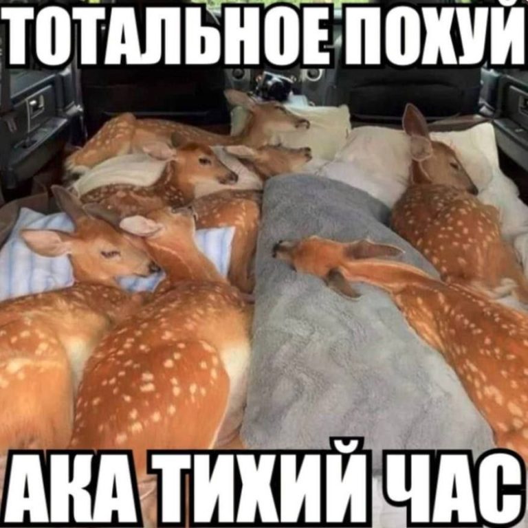 Спать