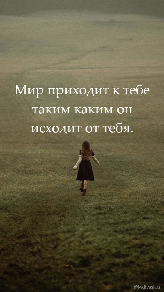 Цитаты.