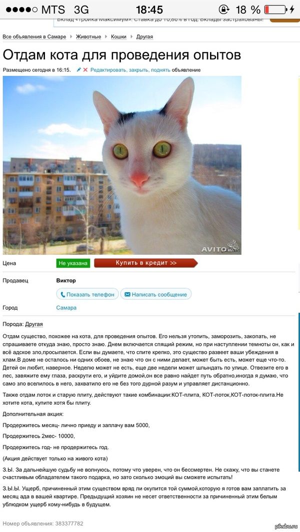 Пикабу — Лучшее Пикабу — Лучшее
