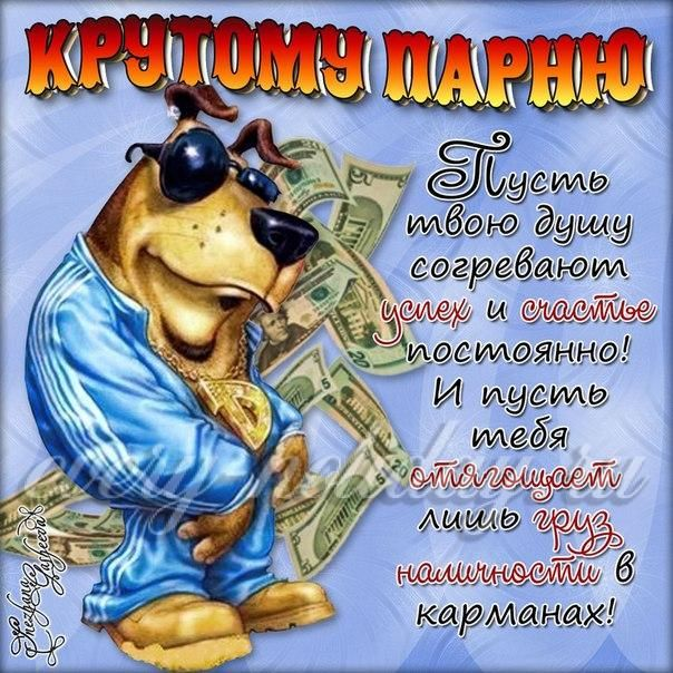 ПРИКОЛЬНЫЕ ПОЗДРАВЛЕНИЯ С ЮМОРОМ ПРИКОЛЬНЫЕ ПОЗДРАВЛЕНИЯ С ЮМОРОМ