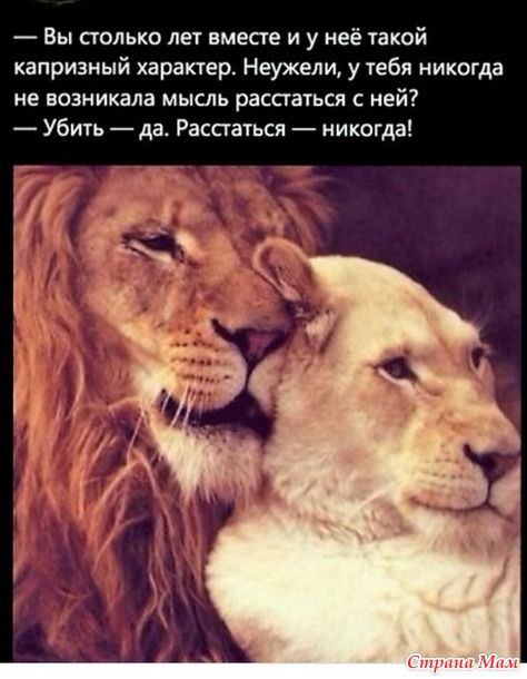 Нет доступа к дневнику – Страна Мам Нет доступа к дневнику – Страна Мам