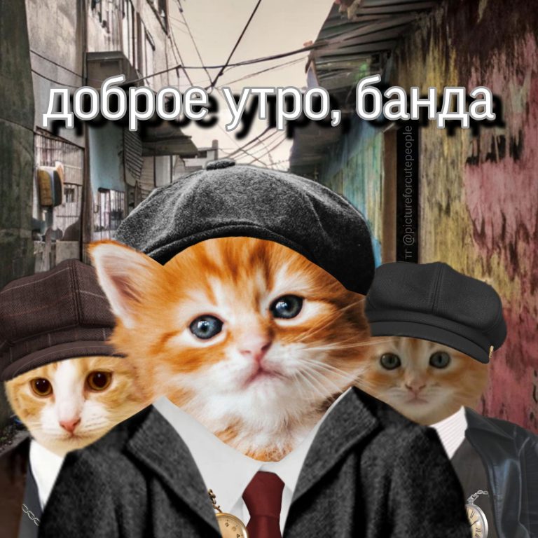 доброе утро банда доброе утро банда