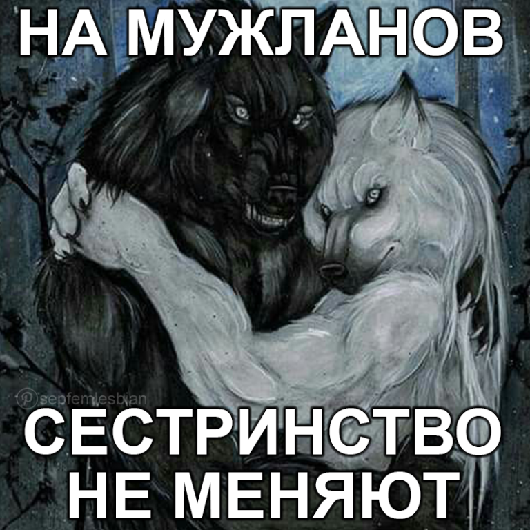 Я люблю женщин Я люблю женщин