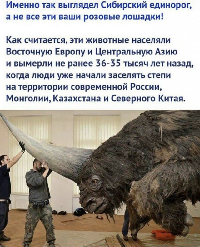 Шутки и мемы из Сети (15 фото) Шутки и мемы из Сети (15 фото)