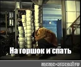 Мем: “На горшок и спать” Мем: “На горшок и спать”