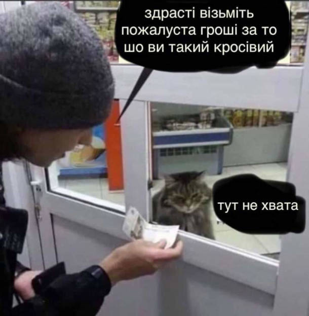 Мем Кіт за прилавком Мем Кіт за прилавком