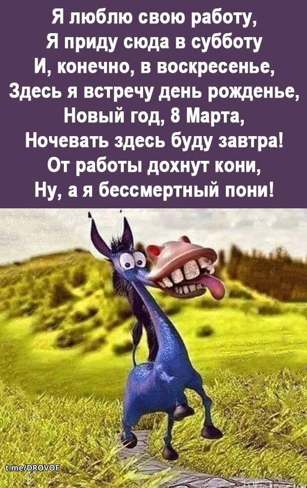 Женский юмор Женский юмор