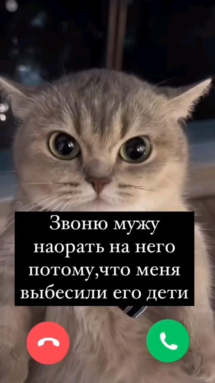 Смешные видео моменты приколы дети мужжена reels video подруга мем о жизни отношения новый год