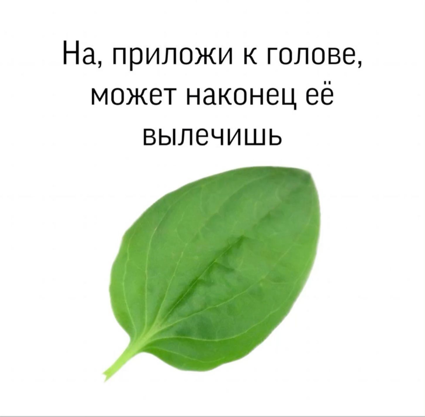 Откуда что берется Откуда что берется