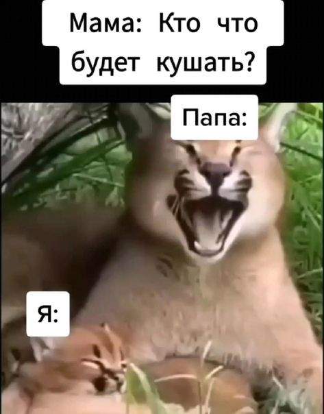 юмор очень смешно 539 юмор очень смешно 539