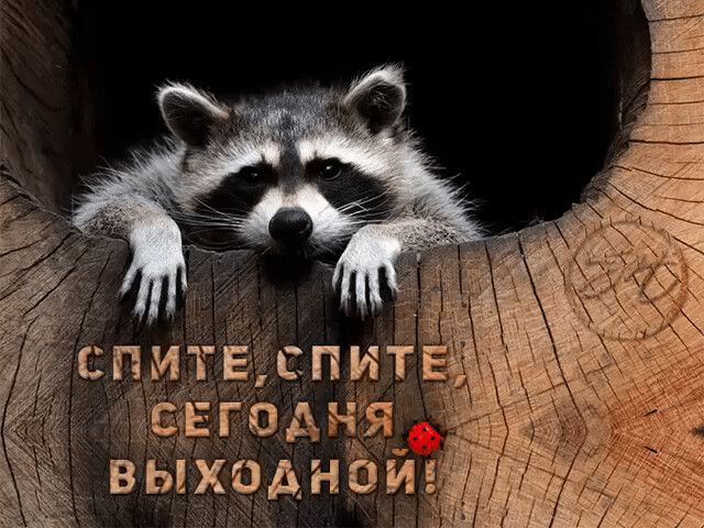 И исчезнет грусть! — Доброе утро! День! | OK.RU И исчезнет грусть! — Доброе утро! День! | OK.RU